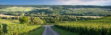 De Top 5 vijfsterrenhotels in de Ardennen