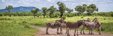 Badeferien Afrika
