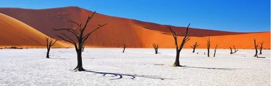 Namibia Rundreise: Die schönsten Routen durch Wüste, Safari & Küste