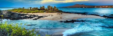 Urlaub auf den Galapagos-Inseln