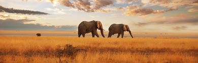 Rundreise durch Kenia: Entdecken Sie das Herz Afrikas