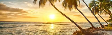 Rundreise durch Kuba und Badeaufenthalt: Eine harmonische Verbindung aus Kultur und karibischer Entspannung