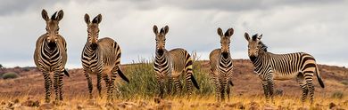 Rundreise in Namibia