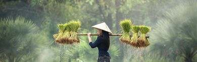 Rundreise in Laos