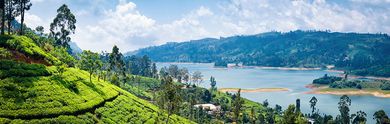 Urlaub in Sri Lanka
