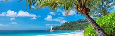 Gönnen Sie sich einen Urlaub im Land der Piraten