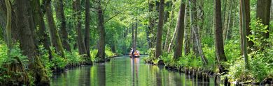 Die besten Hotels mit Spa in der Region Spreewald