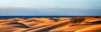 Los mejores hoteles de 5 estrellas en Maspalomas
