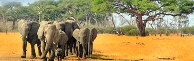 Las mejores ofertas de última hora en Sudáfrica