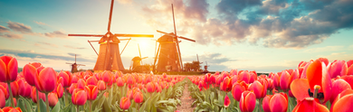 Los mejores hoteles y estancias todo incluido de Holanda