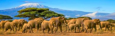 Las mejores ofertas de última hora en Kenia