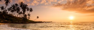 Top des hôtels au Sri Lanka à prix exclusifs