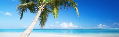 Séjours à Saint Domingue