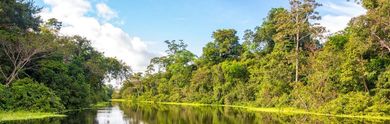 French Days Amazon 2025 : les meilleures offres voyage en Amazonie