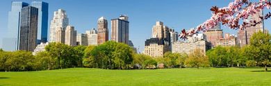 Les plus beaux hôtels près de Central Park