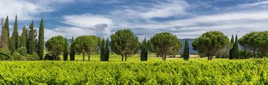 Les meilleurs hôtels de charme du Luberon