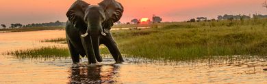 Top des hôtels au Botswana, à prix exclusifs