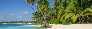 Quand partir en Martinique ?
