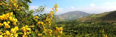 Voyage en Haïti
