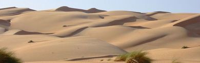 Les meilleurs circuits en Mauritanie