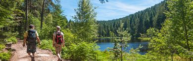 Les meilleurs hôtels d’Hinterzarten avec piscine