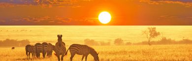 Tour in Sudafrica