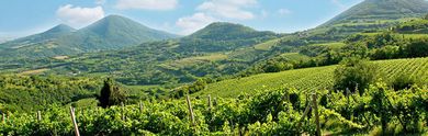 Offerte last minute per Abano Terme