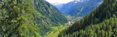 Offerte last minute per Circle Hot Springs