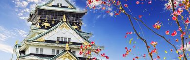 Vacanze a Osaka