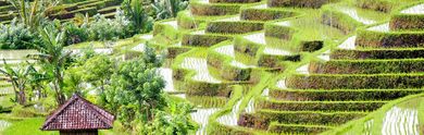 Offerte last minute per l' Indonesia