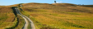 Offerte last minute per Castel del Piano