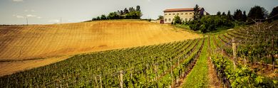 Vacanze in famiglia nel Monferrato: tra leggende e curiosità
