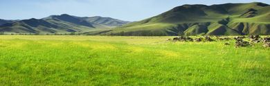 Tour in Mongolia