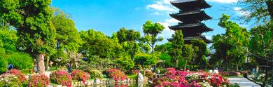 La guida turistica completa per viaggiare a Tokyo
