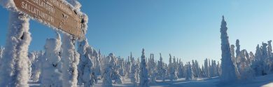 Viaggi a Rovaniemi