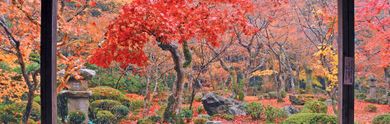 Offerte last minute per Kyoto