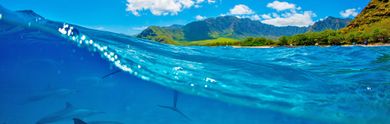 Vacanze nella Polinesia Francese