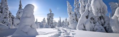Offerte last minute per Tromsø, vivace porta sull'Artico