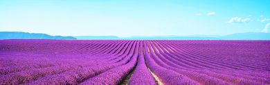 Approfitta delle nostre esclusive offerte per vivere le tue indimenticabili vacanze in famiglia in Provenza!