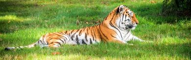 Hotels near Port Lympne