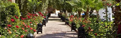 Sun holidays in Morocco