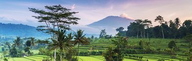Booking to Bali